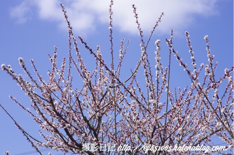 f:id:ef651065:20180318073802j:image
