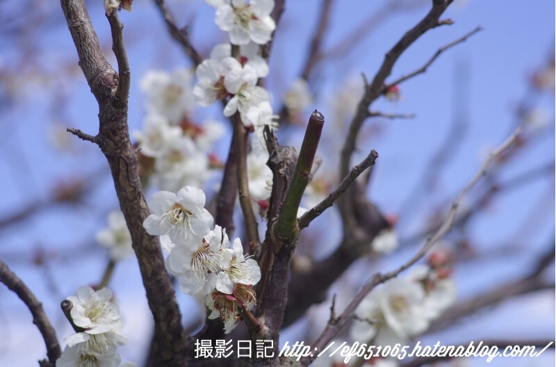 f:id:ef651065:20180318073827j:image