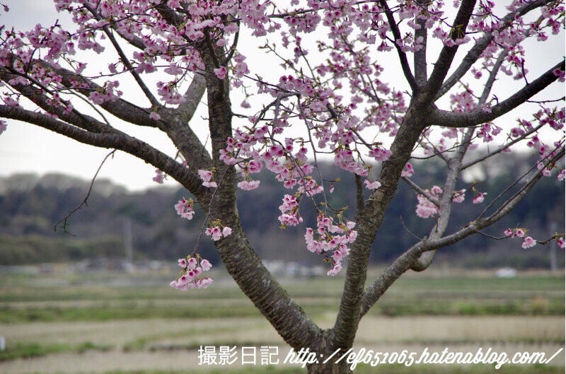 f:id:ef651065:20180322201654j:image