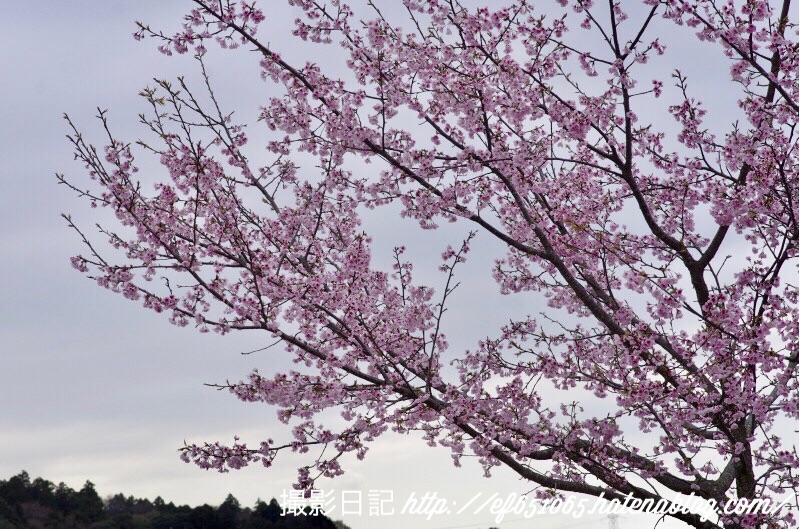 f:id:ef651065:20180322201715j:image
