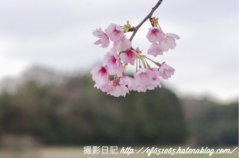f:id:ef651065:20180322201735j:image