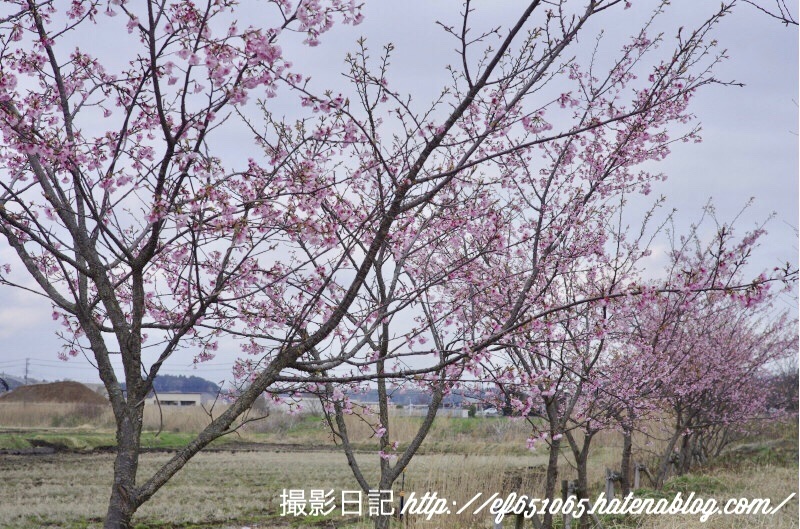 f:id:ef651065:20180322201840j:image