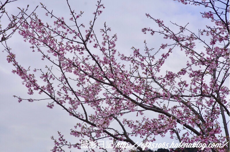 f:id:ef651065:20180322201857j:image
