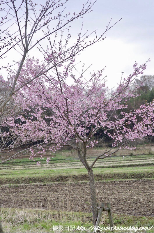 f:id:ef651065:20180322201916j:image