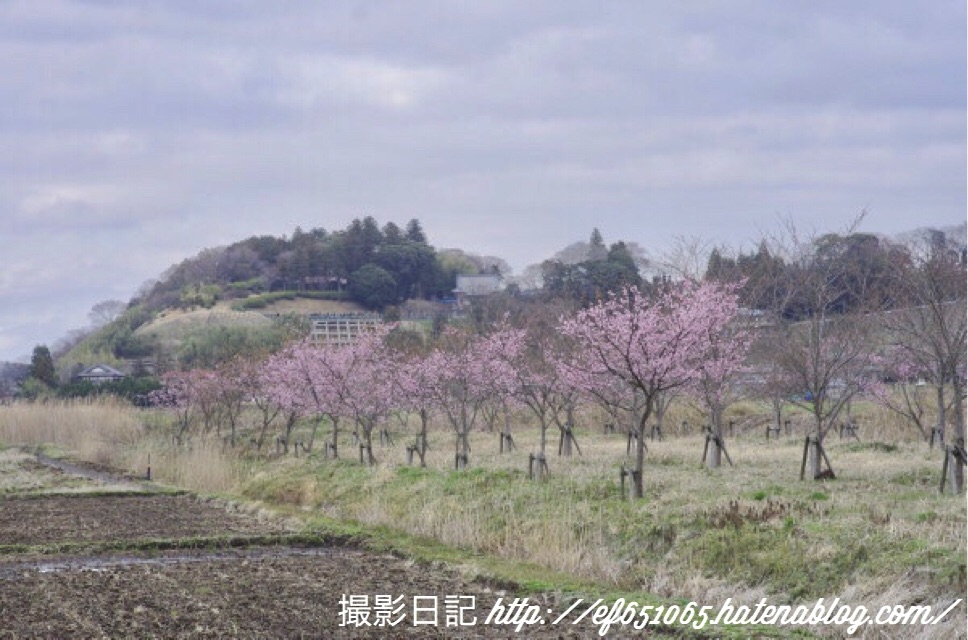 f:id:ef651065:20180322201930j:image