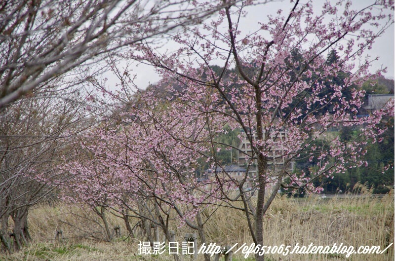 f:id:ef651065:20180322202155j:image