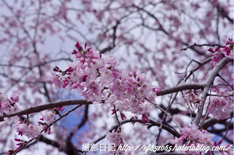 f:id:ef651065:20180323174159j:image