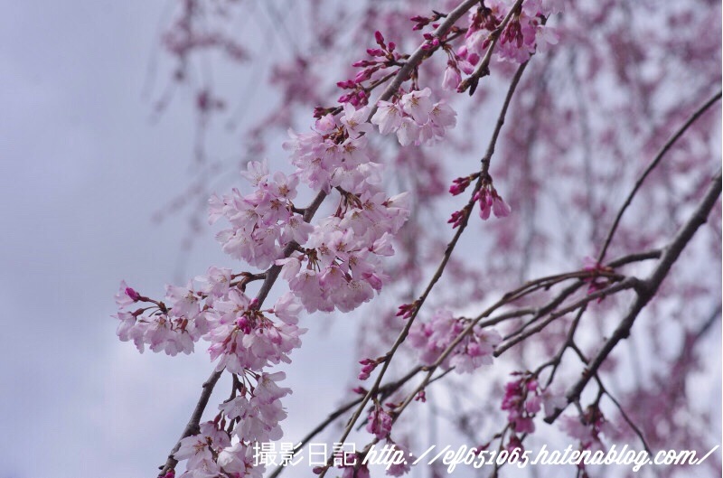 f:id:ef651065:20180323174219j:image