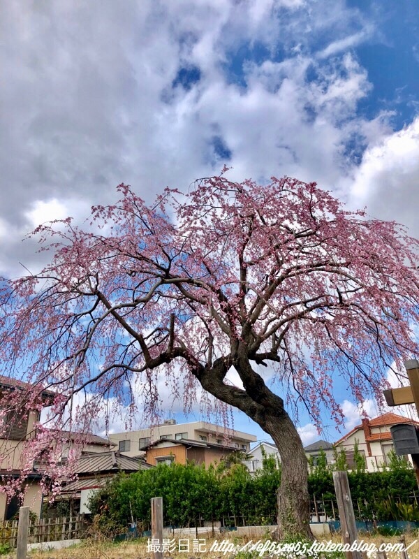 f:id:ef651065:20180323174343j:image