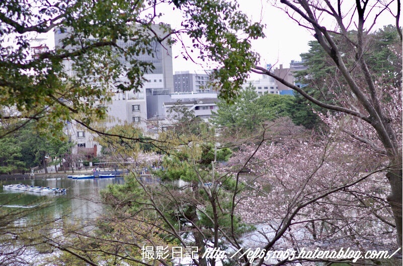 f:id:ef651065:20180323174549j:image