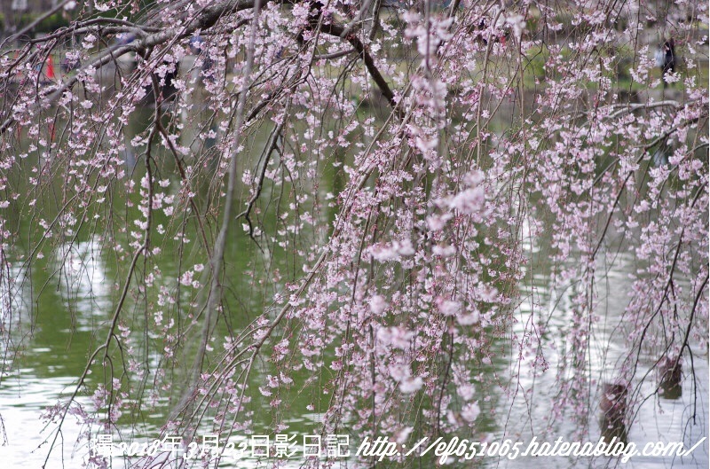 f:id:ef651065:20180323174720j:image