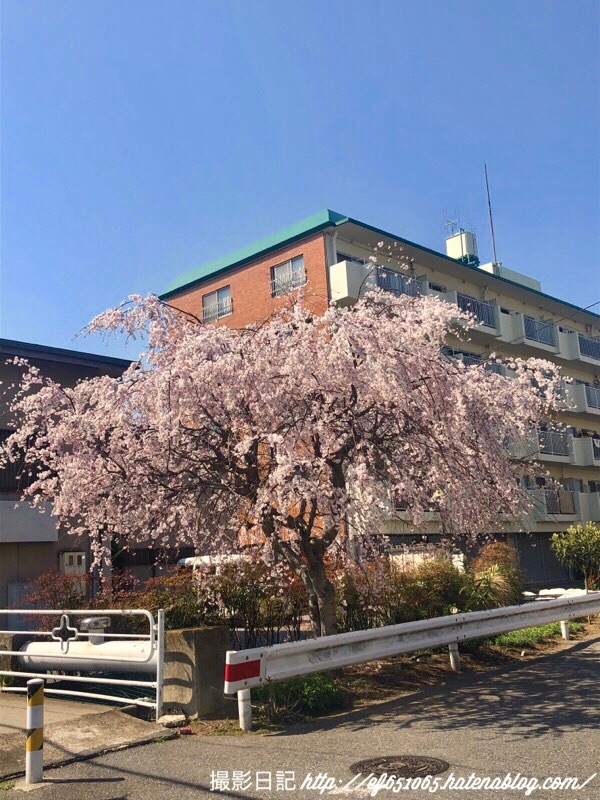 f:id:ef651065:20180325195453j:image