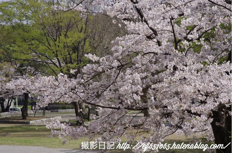 f:id:ef651065:20180329192801j:image