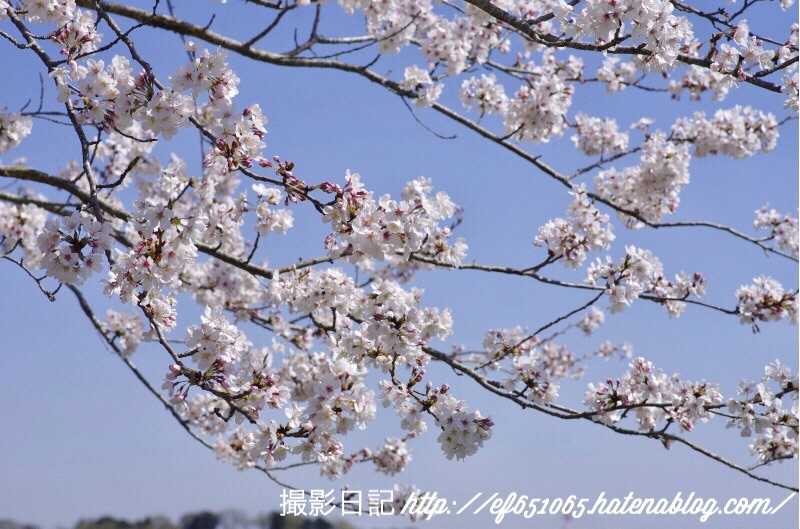 f:id:ef651065:20180331073504j:image