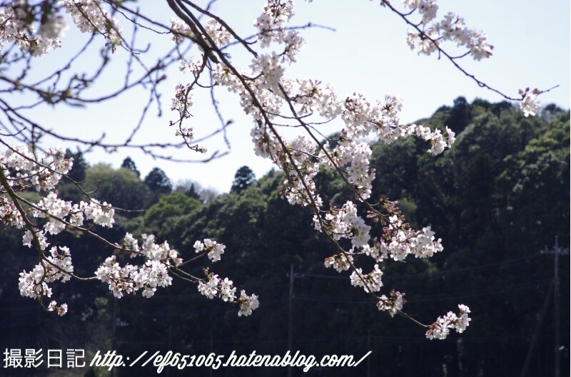 f:id:ef651065:20180331073515j:image