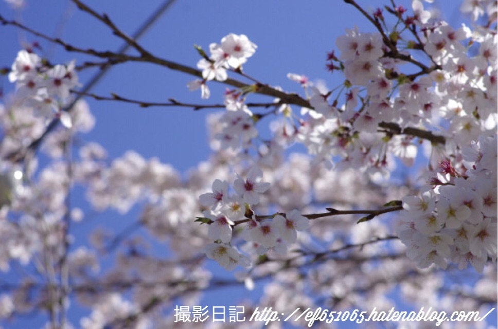 f:id:ef651065:20180331073534j:image