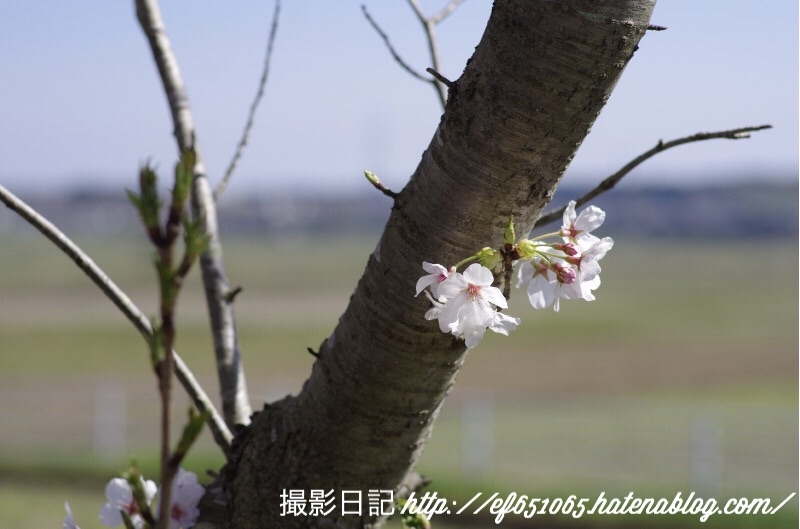 f:id:ef651065:20180331073600j:image