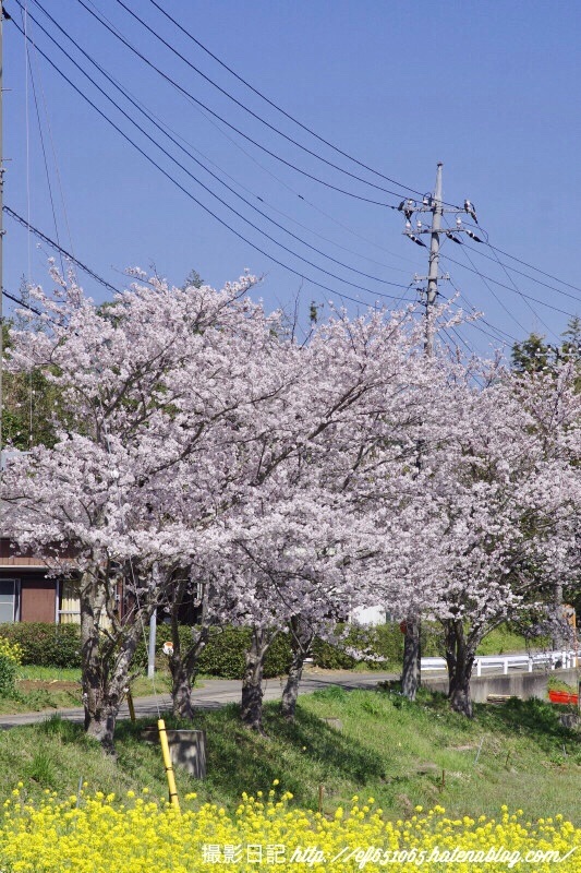 f:id:ef651065:20180331073637j:image
