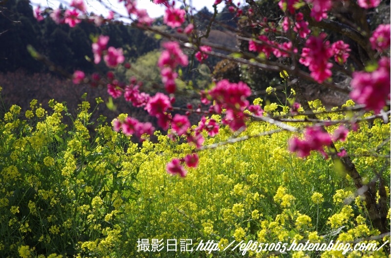 f:id:ef651065:20180331073830j:image