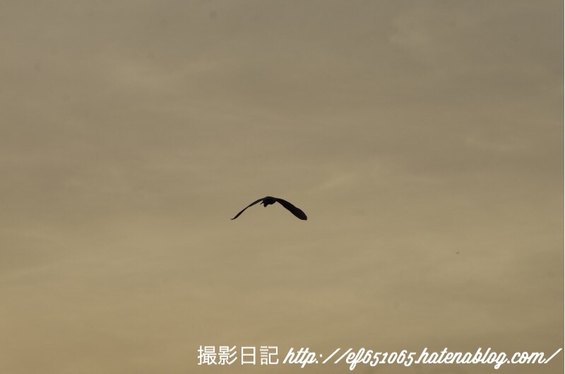 f:id:ef651065:20180422230711j:image