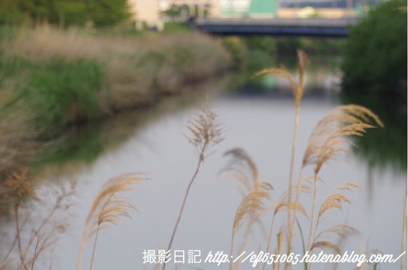 f:id:ef651065:20180430171608j:image