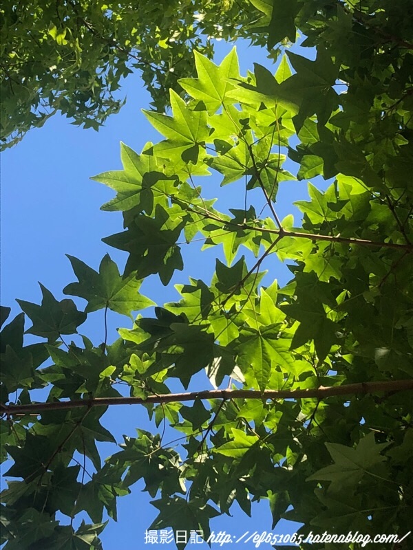 f:id:ef651065:20180520160502j:image