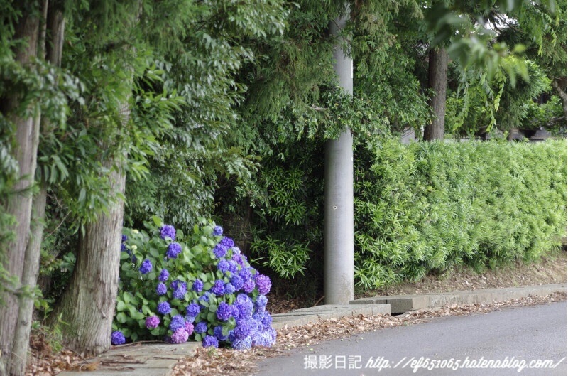 f:id:ef651065:20180623071238j:image