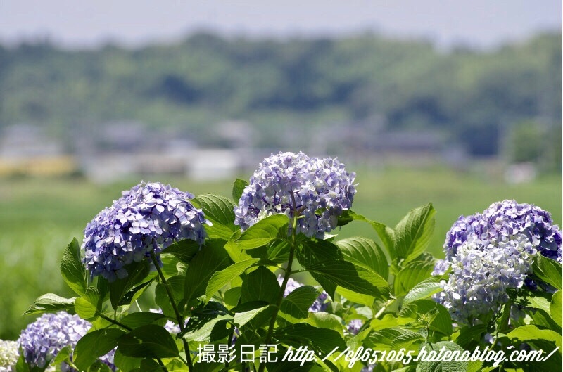 f:id:ef651065:20180625141314j:image