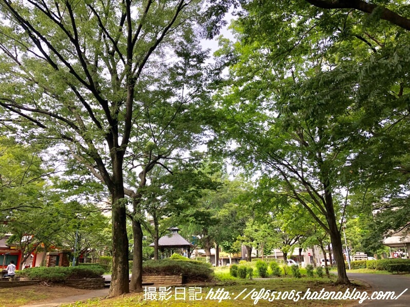 f:id:ef651065:20180627045117j:image