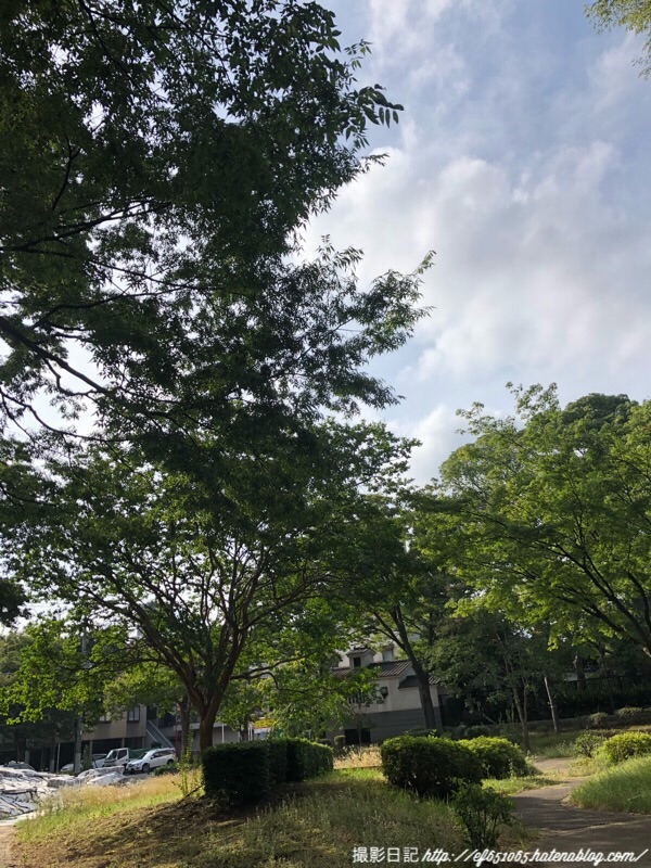 f:id:ef651065:20180726100226j:image