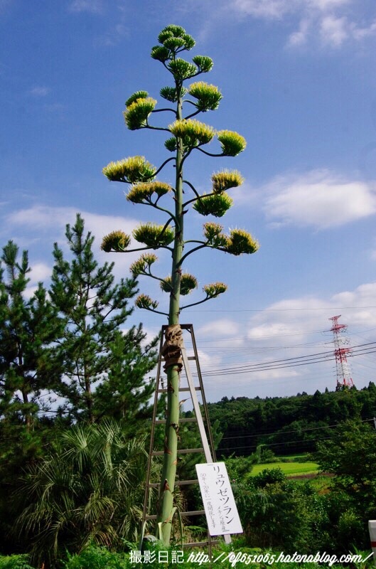 f:id:ef651065:20180726202048j:image