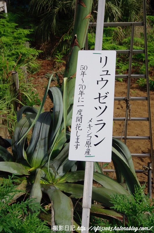 f:id:ef651065:20180726202057j:image