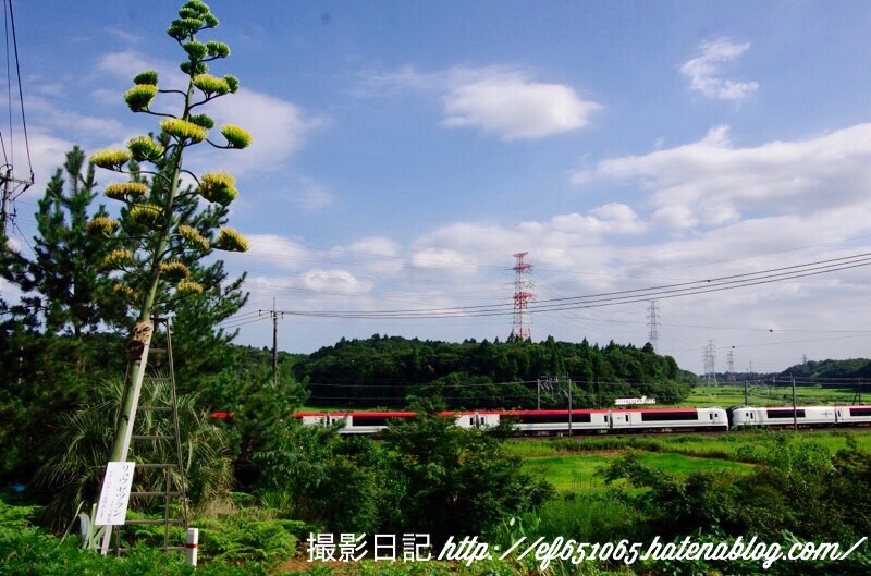 f:id:ef651065:20180726202309j:image