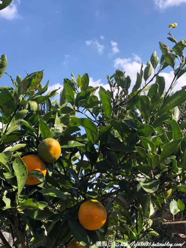 f:id:ef651065:20181024144510j:image