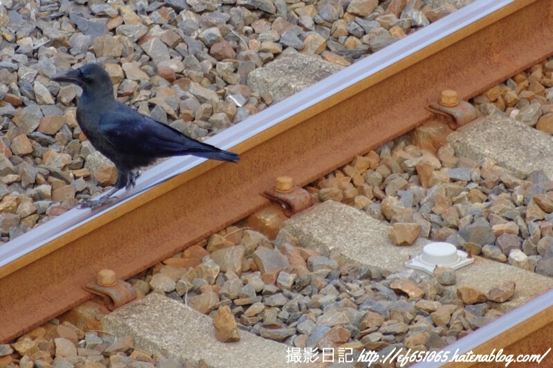 f:id:ef651065:20181026184640j:image