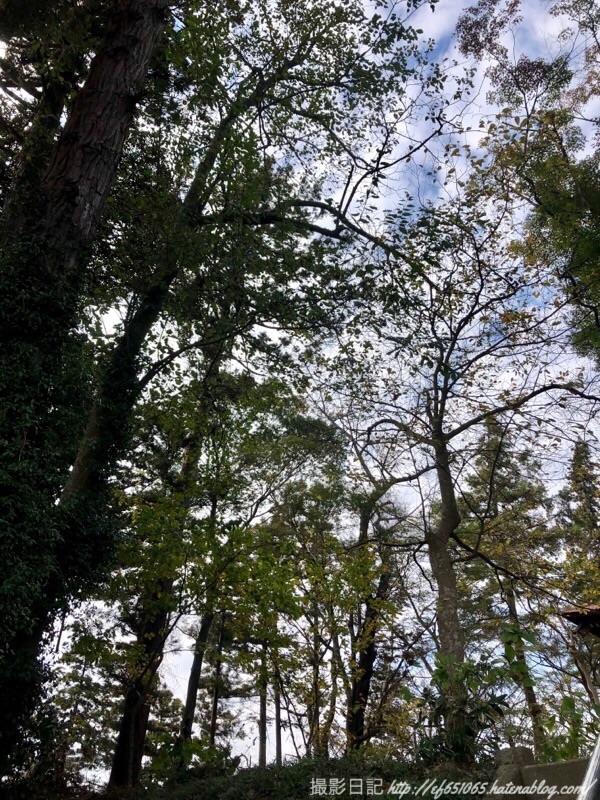 f:id:ef651065:20181111163156j:image