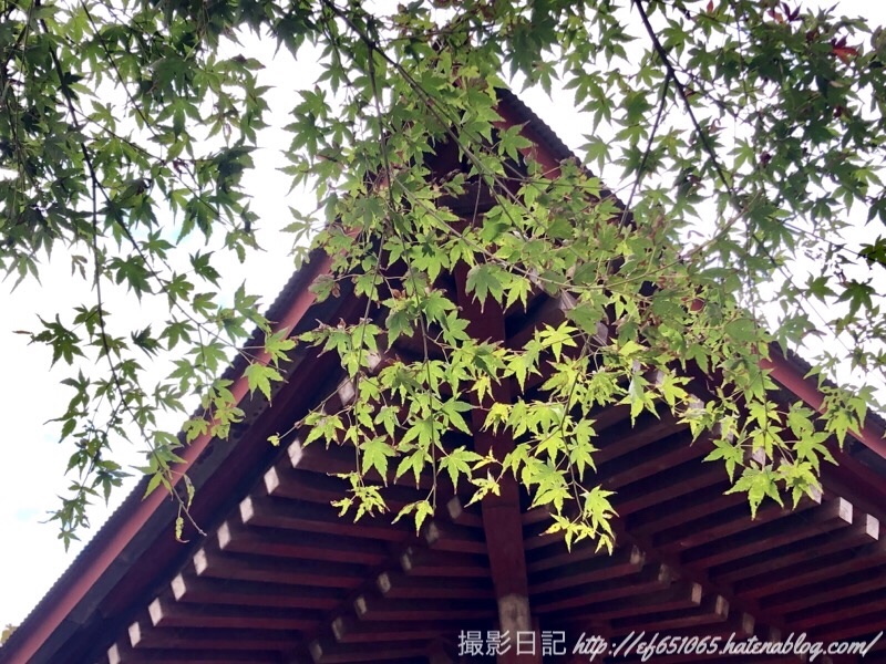 f:id:ef651065:20181111163213j:image