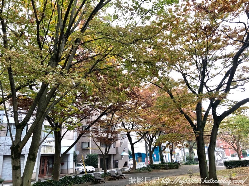 f:id:ef651065:20181112174403j:image