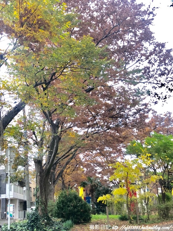 f:id:ef651065:20181129155408j:image