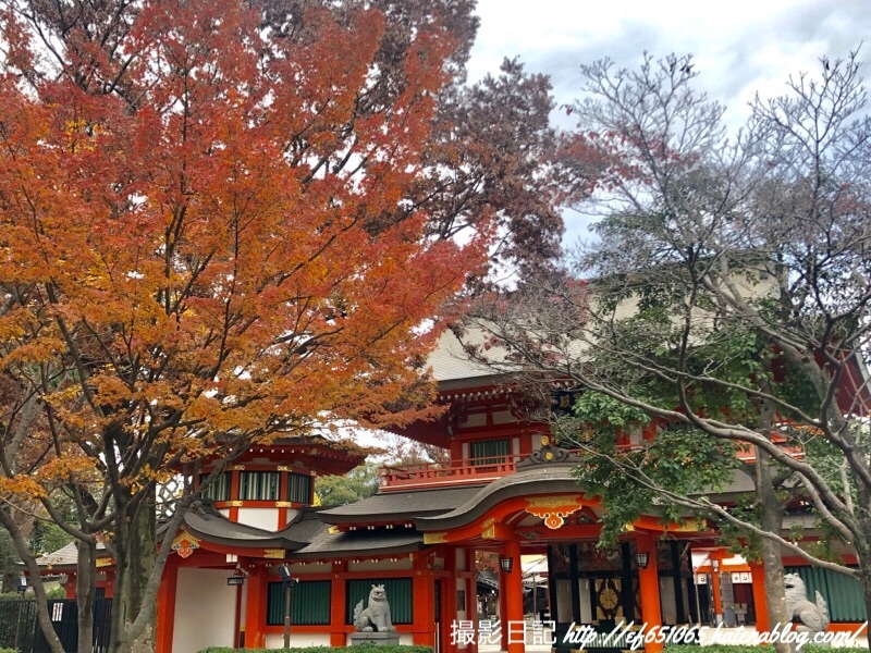 f:id:ef651065:20181129155423j:image