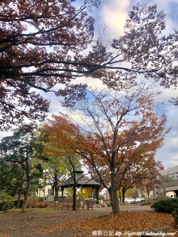 f:id:ef651065:20181129155431j:image
