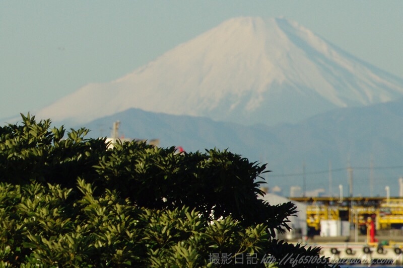 f:id:ef651065:20181229154051j:image