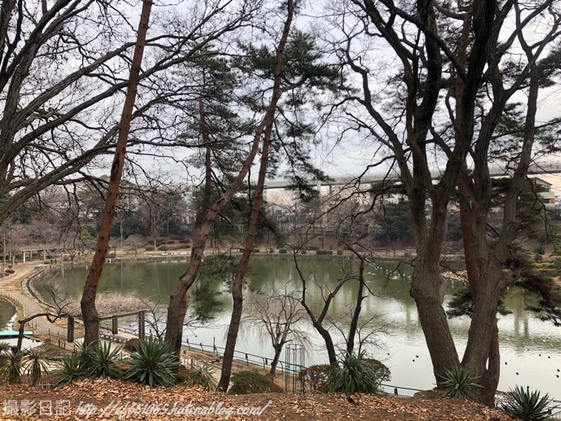 f:id:ef651065:20190116142715j:image