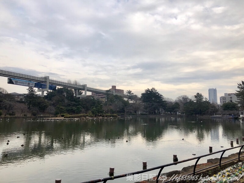 f:id:ef651065:20190116142718j:image