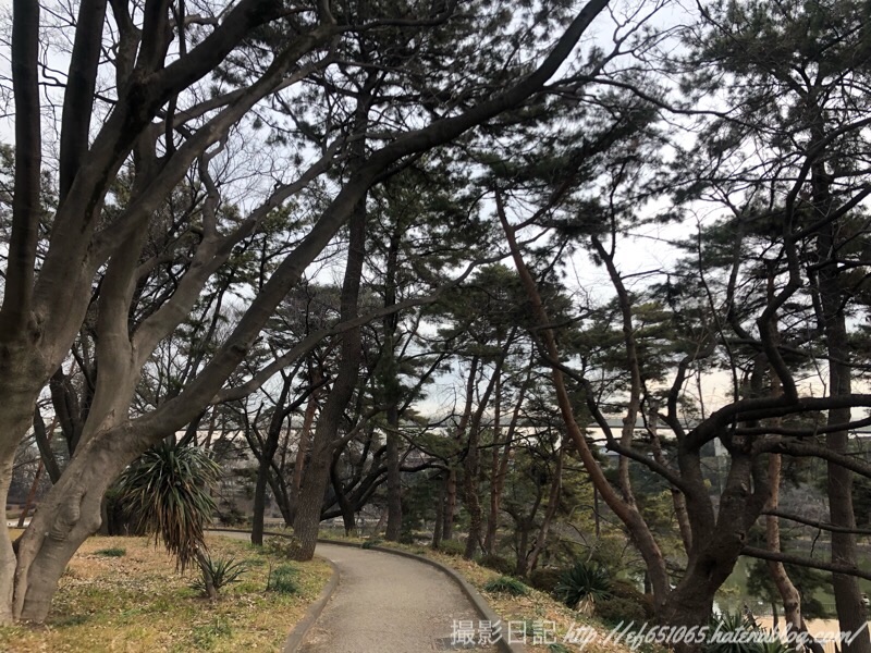 f:id:ef651065:20190116142722j:image