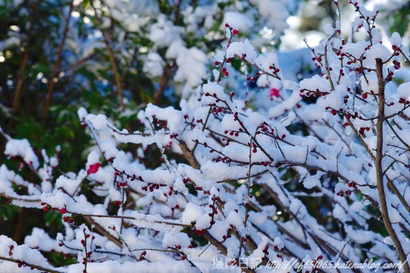 f:id:ef651065:20190201081225j:image