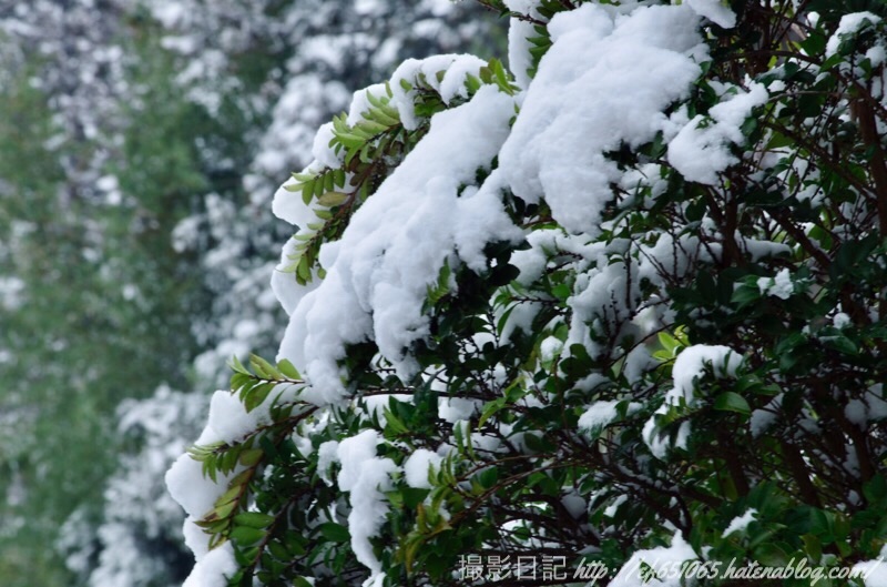 f:id:ef651065:20190209142139j:image