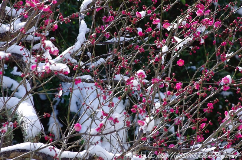 f:id:ef651065:20190210143935j:image