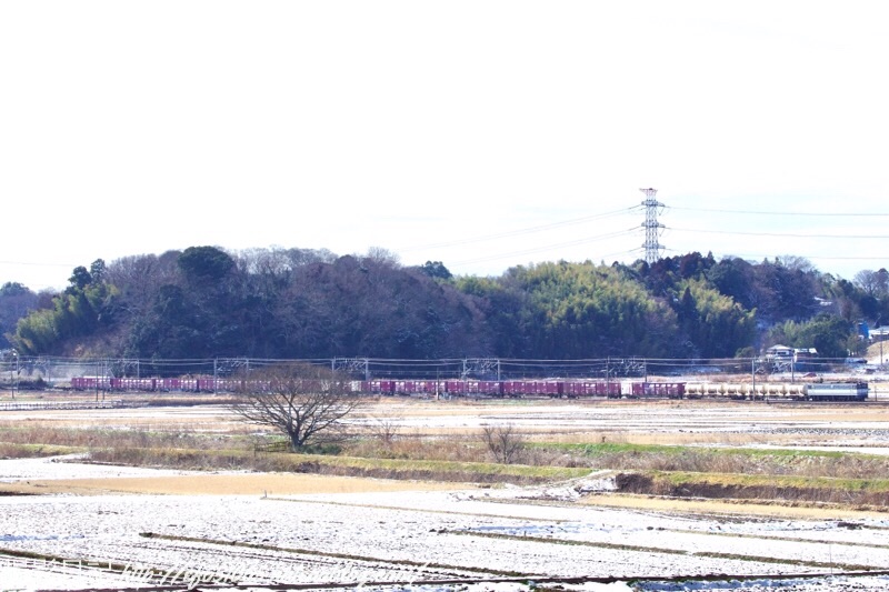 f:id:ef651065:20190210173616j:image