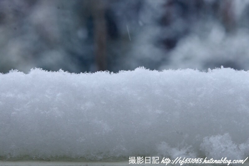 f:id:ef651065:20190211140824j:image